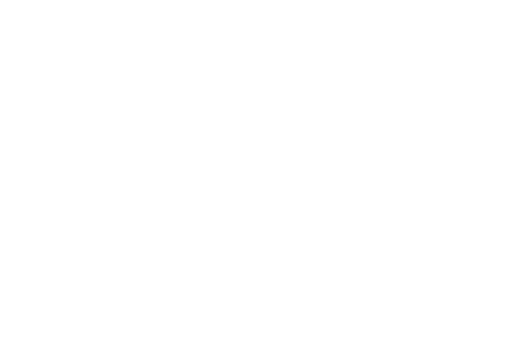 conciergevipservice.com